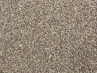 조병대님의 작성글 사진