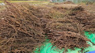 조병대님의 작성글 사진