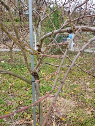 천승준님의 오늘 어떤 농작업하셨나요? · 참여글 작성글 사진