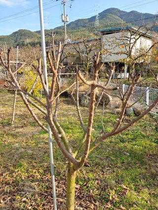 천승준님의 오늘 어떤 농작업하셨나요? · 참여글 작성글 사진