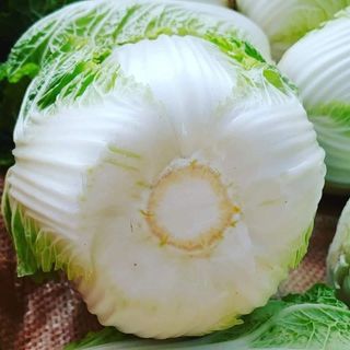 엄미애님의 오늘 어떤 농작업하셨나요? · 참여글 작성글 사진