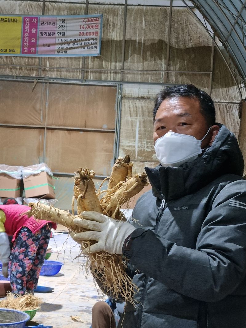 모두팜님의 장터 판매 상품 [인삼 판매합니다  750g] 첨부 사진