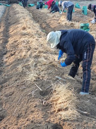 모두팜님의 작성글 사진