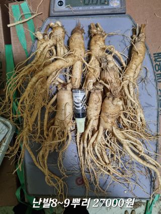 모두팜님의 작성글 사진