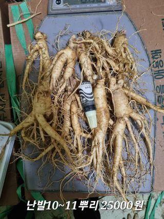 모두팜님의 작성글 사진