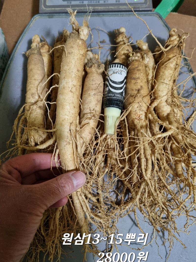 모두팜님의 장터 판매 상품 [인삼 판매합니다  750g] 첨부 사진