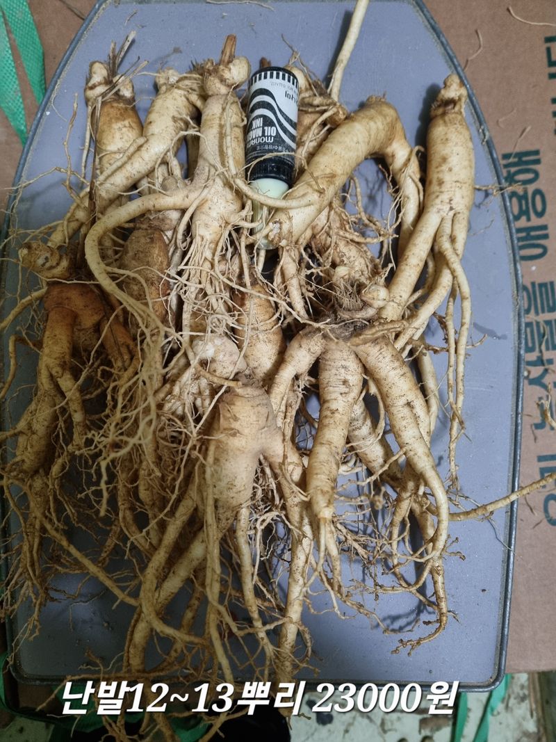 모두팜님의 장터 판매 상품 [인삼 판매합니다  750g] 첨부 사진