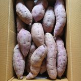 팜모닝 오늘 어떤 농작업하셨나요?·참여글 게시글 이미지