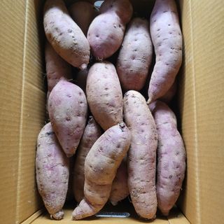 양석원님의 오늘 어떤 농작업하셨나요? · 참여글 작성글 사진