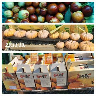 소학도토리님의 자유주제 · 자유게시판 작성글 사진