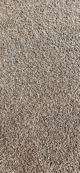 팜모닝 · 게시글 이미지