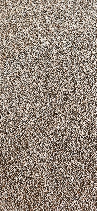 명희님의 작성글 사진