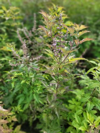 서성환님의 자유주제 · 자유게시판 작성글 사진