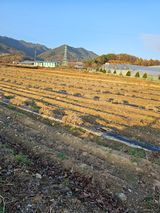 팜모닝 오늘 어떤 농작업하셨나요?·참여글 게시글 이미지