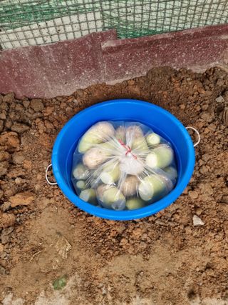 박세은님의 오늘 어떤 농작업하셨나요? · 참여글 작성글 사진