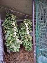 박세은님의 오늘 어떤 농작업하셨나요?·참여글 작성글 사진