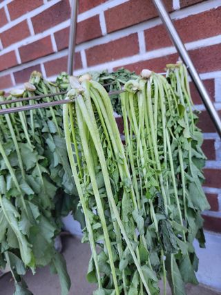 농부쑤니님의 자유주제 · 자유게시판 작성글 사진