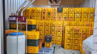 황금농원님의 오늘 어떤 농작업하셨나요? · 참여글 작성글 사진