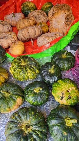 박재룡님의 오늘 어떤 농작업하셨나요? · 참여글 작성글 사진