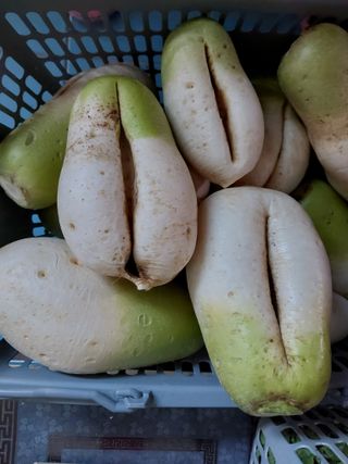 정태규님의 자유주제 · 자유게시판 작성글 사진