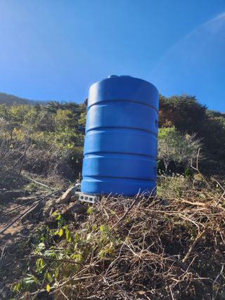 차윤호님의 오늘 어떤 농작업하셨나요? · 참여글 작성글 사진