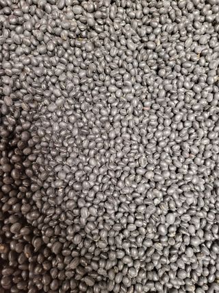 춘천해바라기님의 오늘 어떤 농작업하셨나요? · 참여글 작성글 사진