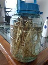 팜모닝 자유주제·자유게시판 게시글 이미지