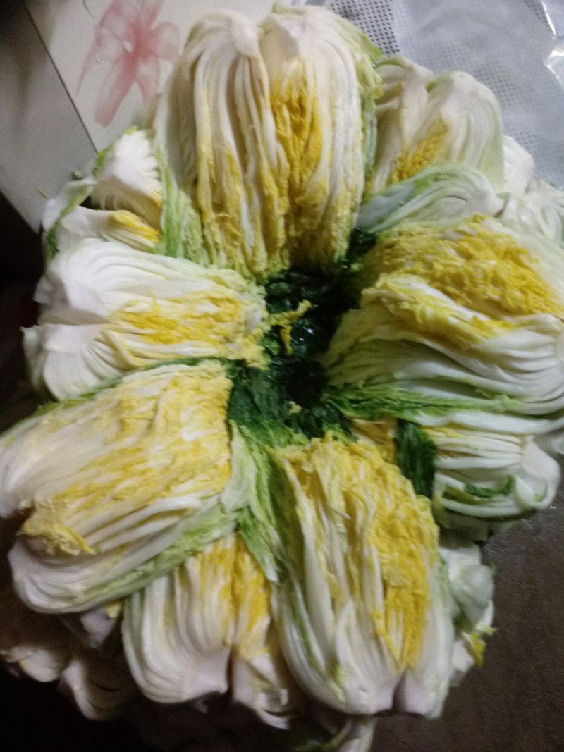 장터 상품 [배추절임 20키로] 썸네일