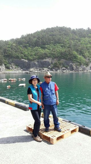 김원길님의 복숭아 · 자유게시판 작성글 사진