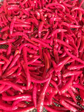 유병규님의 작성글 사진