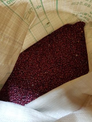 백봉2리밭농사곡식님의 오늘 어떤 농작업하셨나요? · 참여글 작성글 사진