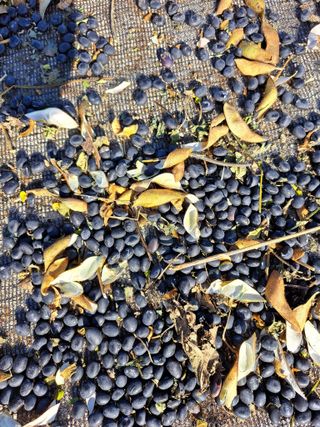 좋은인연님의 자유주제 · 자유게시판 작성글 사진