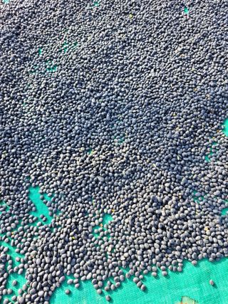 좋은인연님의 자유주제 · 자유게시판 작성글 사진