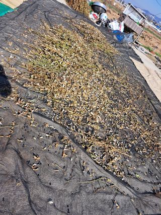 좋은인연님의 자유주제 · 자유게시판 작성글 사진