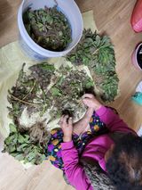 팜모닝 오늘 어떤 농작업하셨나요?·참여글 게시글 이미지