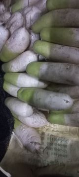 팜모닝 · 게시글 이미지