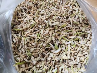 윤창호님의 오늘 어떤 농작업하셨나요? · 참여글 작성글 사진