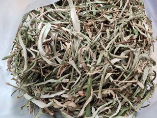 윤창호님의 오늘 어떤 농작업하셨나요? · 참여글 작성글 사진