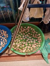 팜모닝 감자·자유게시판 게시글 이미지