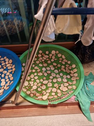 권오정님의 감자 · 자유게시판 작성글 사진