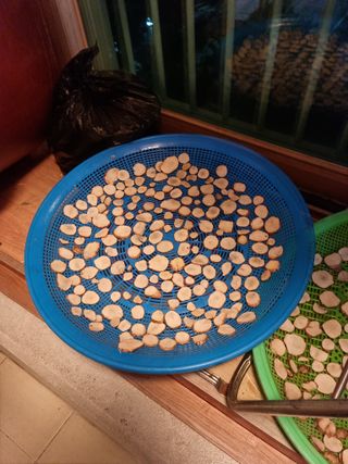 권오정님의 감자 · 자유게시판 작성글 사진