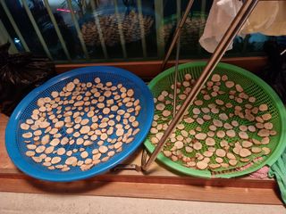 권오정님의 감자 · 자유게시판 작성글 사진