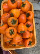 팜모닝 오늘 어떤 농작업하셨나요?·참여글 게시글 이미지