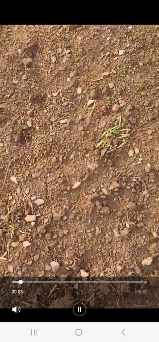 조순귀창원성산구사파님의 오늘 어떤 농작업하셨나요? · 참여글 작성글 사진