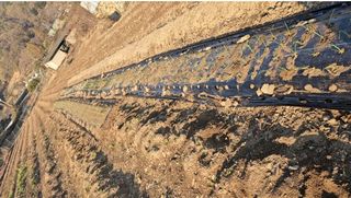 조순귀창원성산구사파님의 오늘 어떤 농작업하셨나요? · 참여글 작성글 사진