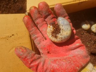 천호님의 장터이야기 · 자유게시판 작성글 사진