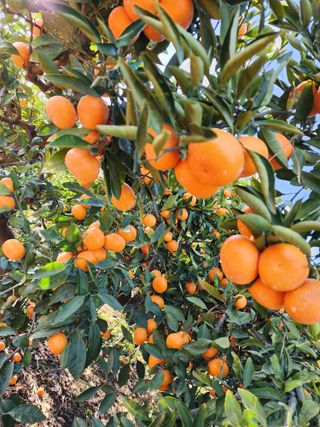 조현기 님의 작성글 사진