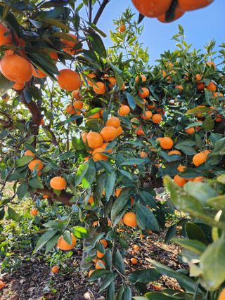 조현기 님의 작성글 사진