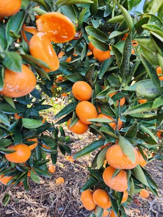 조현기 님의 작성글 사진