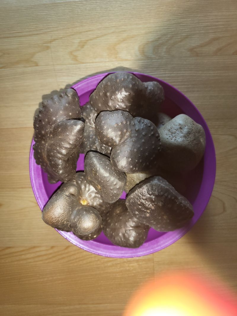 장터 상품 [하늘마 팝니다] 썸네일